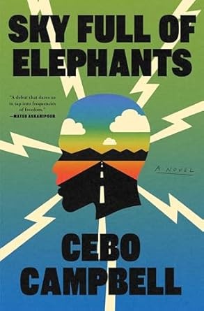 Book cover of Sky Full of Elephants by Cebo Campbell